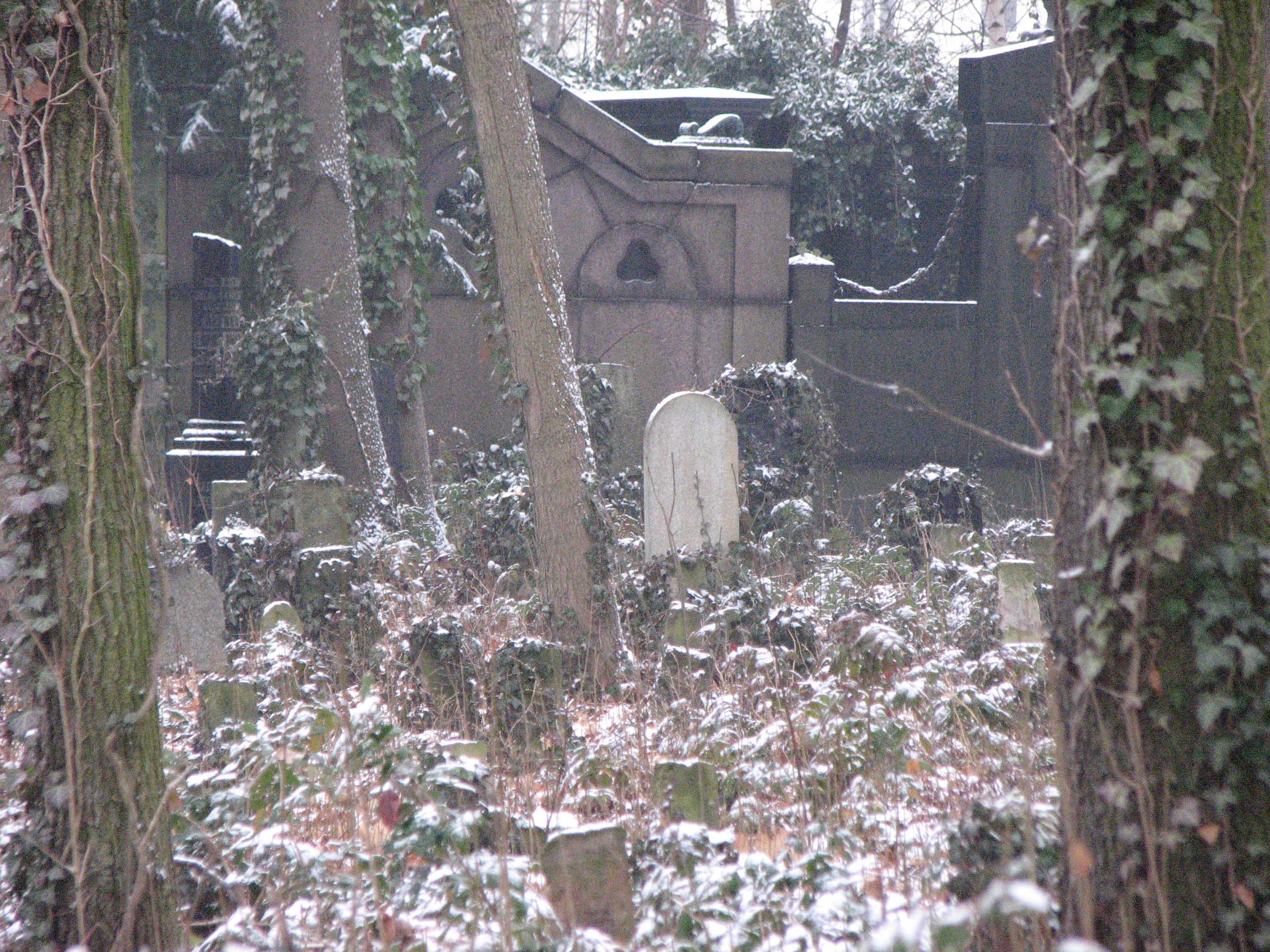 snow-covered Jewish cemetery, Berlin, graveyard, daggerandbrush
